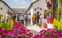 Visita Guiada Almazara y Bodega en Montilla (Córdoba) logo