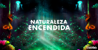 Naturaleza Encendida - Corrientes - Sevilla logo