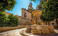 Excursiones de 1 día desde Jaén logo