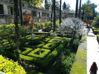 Visita Guiada a Sevilla desde Málaga logo