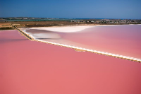 Salinas de Santa Pola y Dunas de la Marina - Guardamar del Segura logo