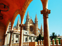 Tour por el centro de Palma con entrada a la Catedral logo