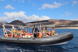Avistamiento de Delfines en Fuerteventura