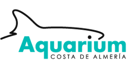 Aquarium Costa of Almería