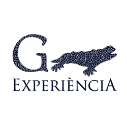 Gaudí Experiencia